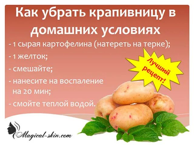 Крапивница народные средства. Принципы терапии хронической крапивницы. Препараты от крапивницы у взрослых. Препараты от крапивницы. Какими препаратами лечить крапивницу.