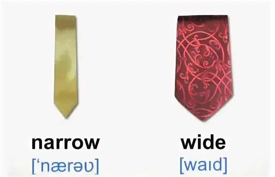 Narrow перевод на русский. Wide narrow opposites. narrow wide for kids. wide flashcard. narrow flashcard.