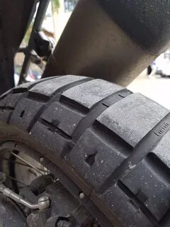 Scorpion rally