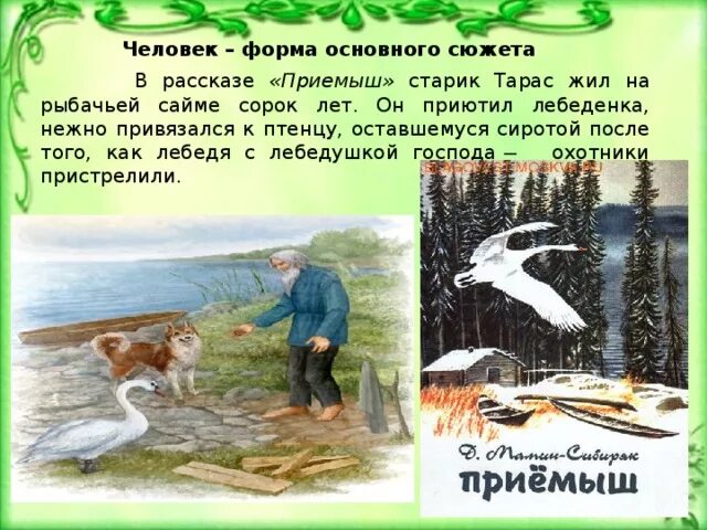 Почему главный герой забрал приемыша. Рассказ приёмыш мамин-Сибиряк. План приёмыш мамин-Сибиряк 3. Пересказ сказки приемыш мамин Сибиряк.