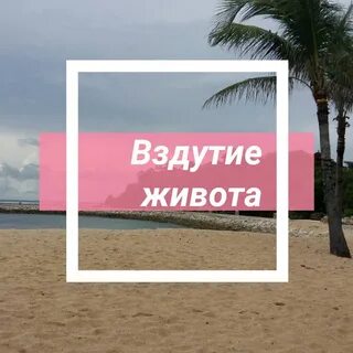 Всем знакомо слово
