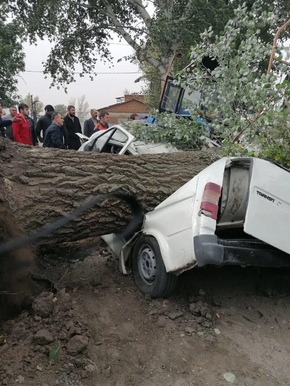 В станице Багаевской дерево упало на машину. Дерево упало на машину в Ростове на Дону. Станица Багаевская Ростовская область. Багаевск упало дерево на машину.