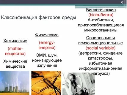 Классификация жизни