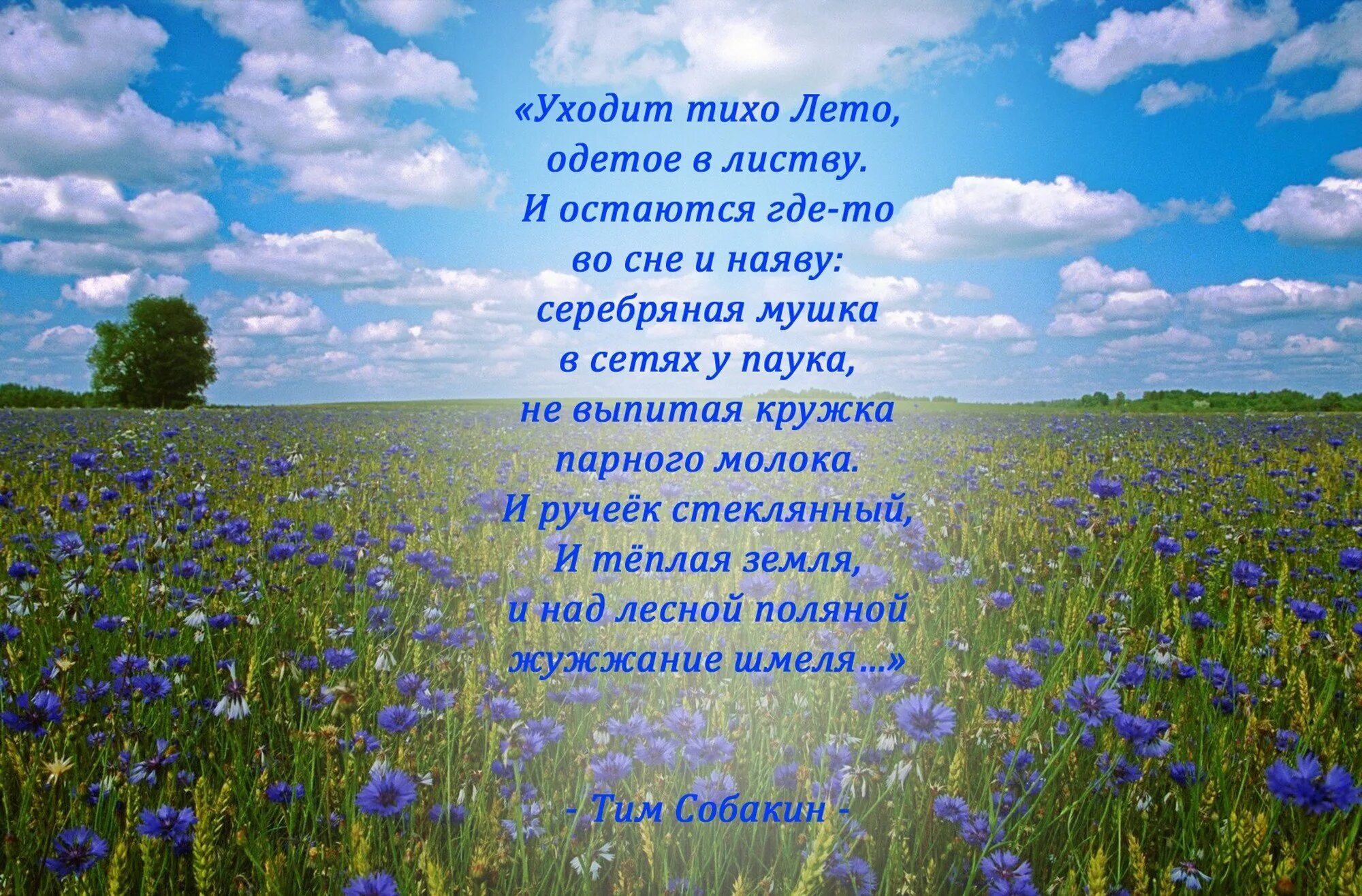 Тихой поступью. Уходит лето стихи. Стих про лето. Стихи об уходящем лете красивые. Картинки со стихами об уходящем лете.