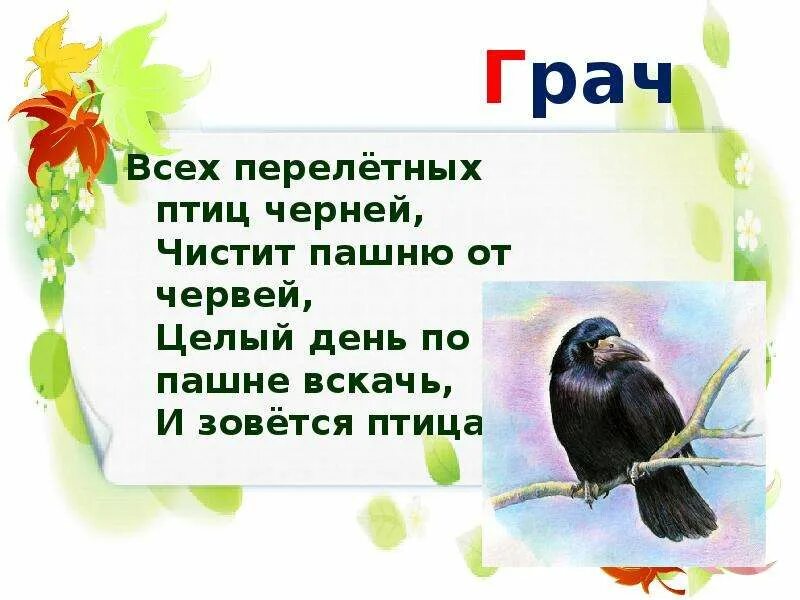 Стихи про перелетных птиц для детей