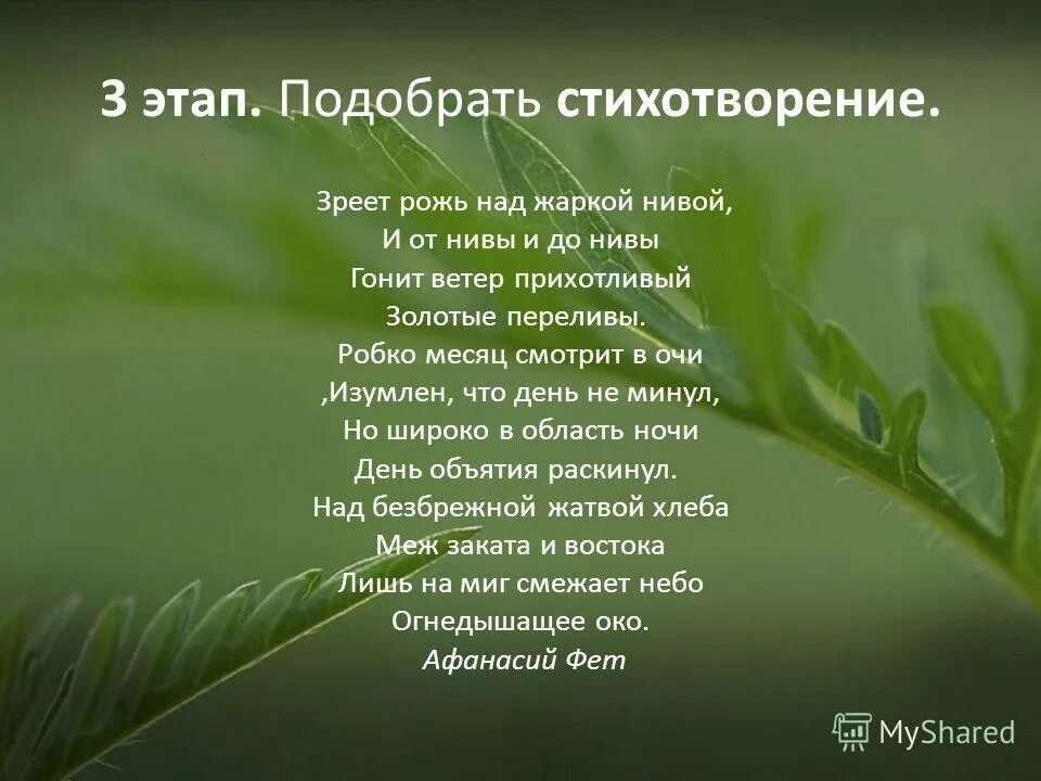 стихотворение из 4 четверостиший. стихи каждый выбирает по себе женщину. подходящее стихотворение. стишок про музыку. стих к лунной сонате.