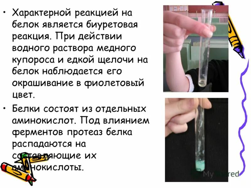химическиемсвойства белков. белки химические свойства. химические свойства белка химия 10 класс. реакции свойственные белкам. какие реакции характерны для белков.