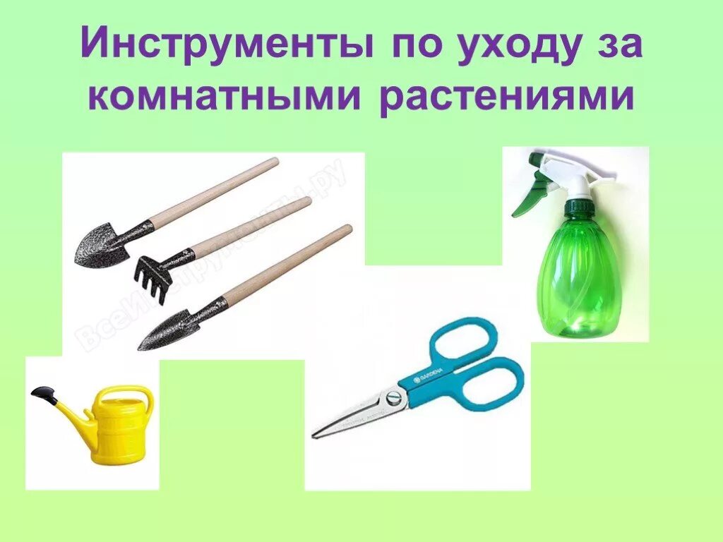 Какой инвентарь нельзя использовать ответ. Инвентарь для ухода за растениями. инструменты по уходу за комнатными растениями. предметы для ухода за комнатными растениями. инструменты для ухаживания за комнатными растениями.