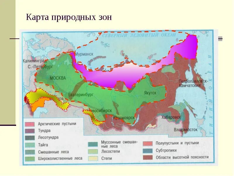 Шпаргалка природные зоны россии 4 класс