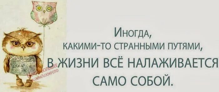 А жизнь то налаживается. Высказывания жизнь налаживается. открытка жизнь налаживается. ура жизнь налаживается. жизнь налаживается цитаты.