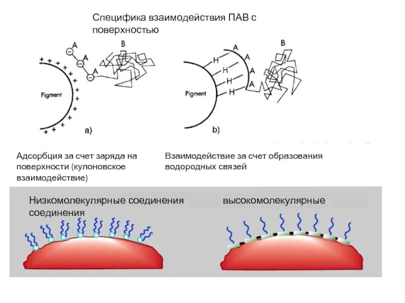 Пав реакции