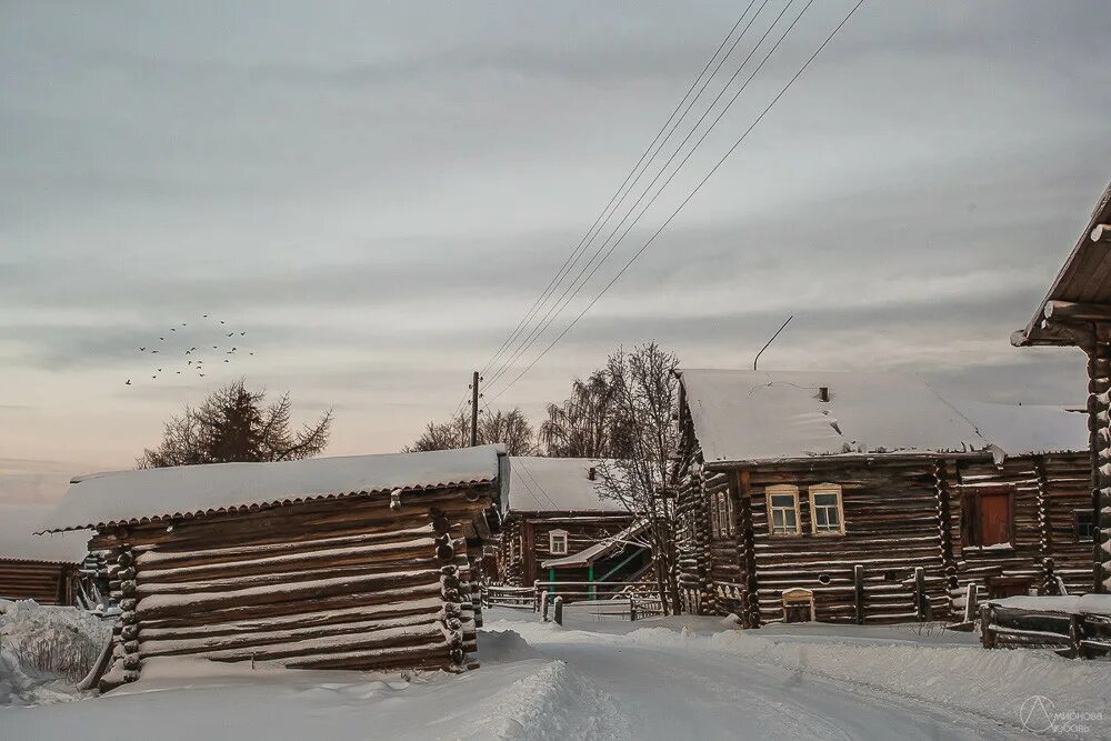 Погода пинега архангельская область на неделю. Мезень Кимжа. Архангельск Пинега Мезень. Кимжа. Пинега. Попов. Инсоляция деревни Кимжа.