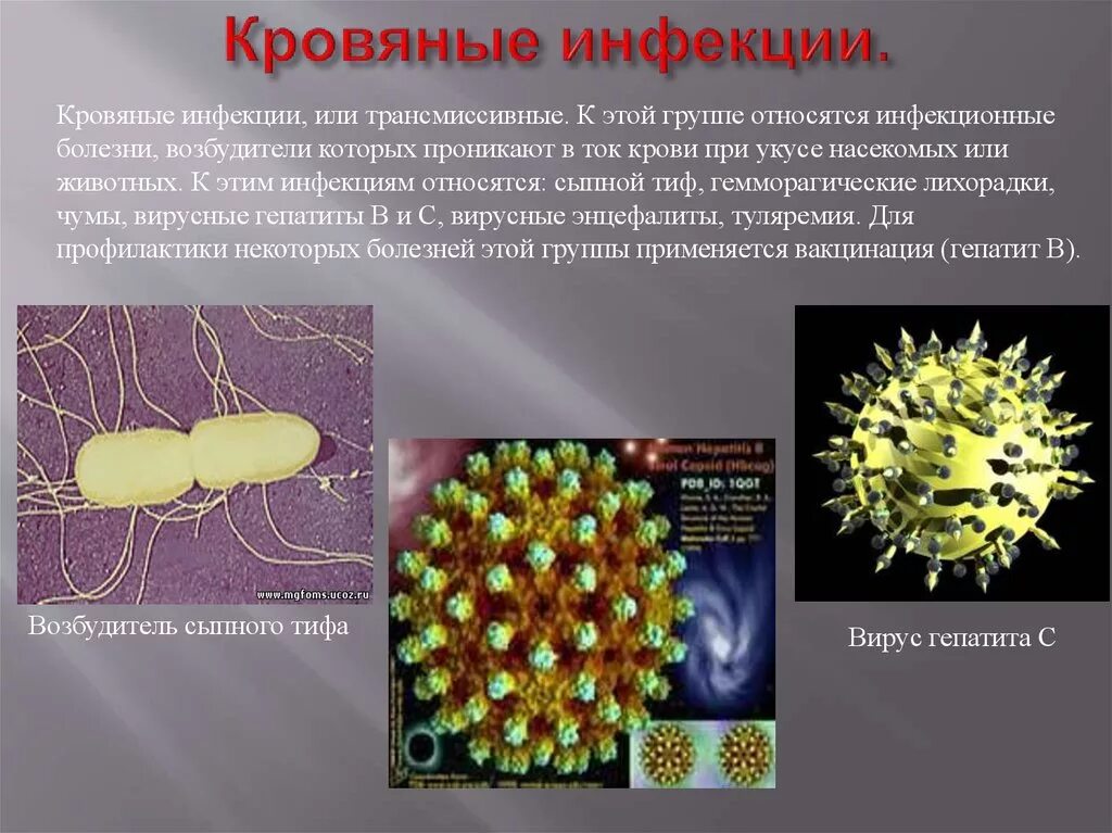 Возбудители вирусных кровяных инфекций. Трансмиссивные кровяные инфекции клинические проявление. Кровяные инфекционные заболевания характеристика. Вирусная инфекция с кровяным механизмом передачи. Возбудители инфекционных заболеваний это