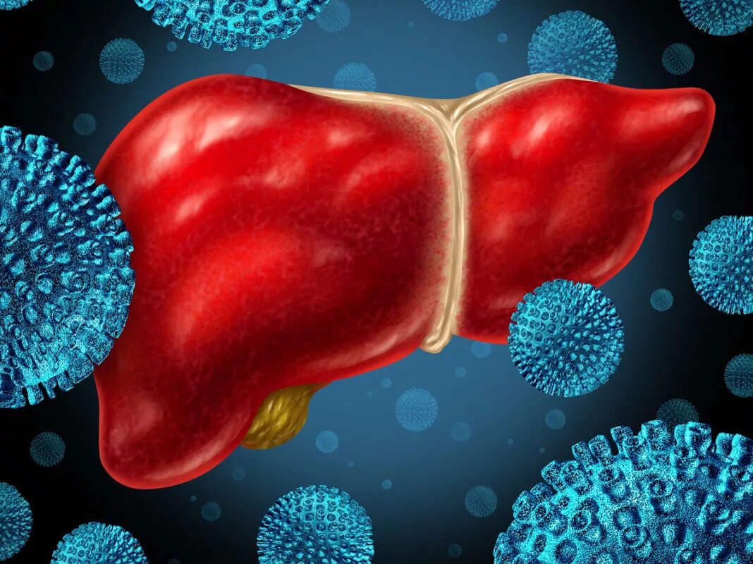 Гепатит c. Вирусные гепатиты. Инфекционные заболевания печени. Вирусные заболевания печени. Новое гепатит б