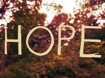 Hope on hope off
