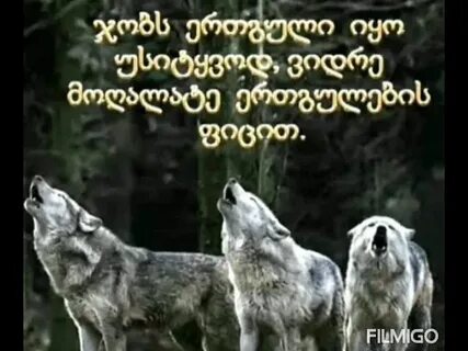 Волчья судьба