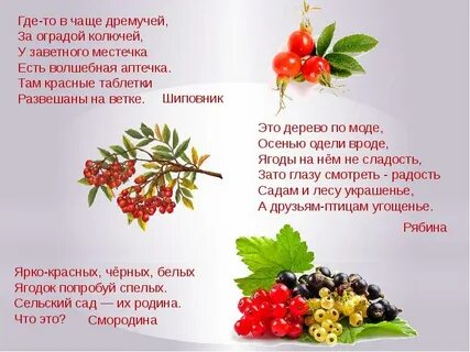 Ягода что означает