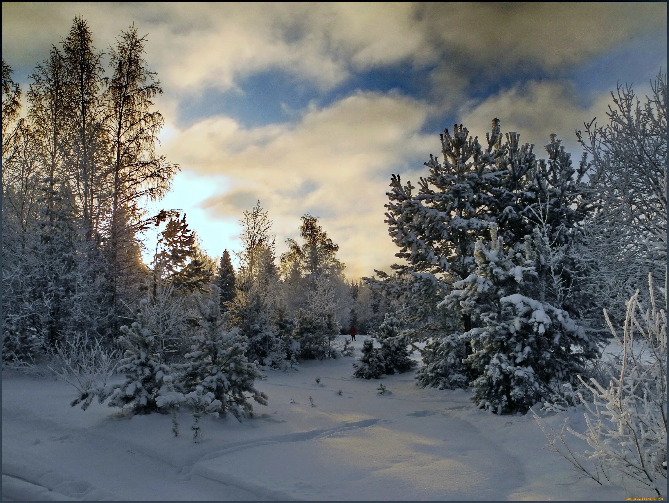 Впр на склоне зимы веселее становится февральский. Зимняя природа. Зима в лесу. Зимой в лесу. Пейзаж зимнего леса.