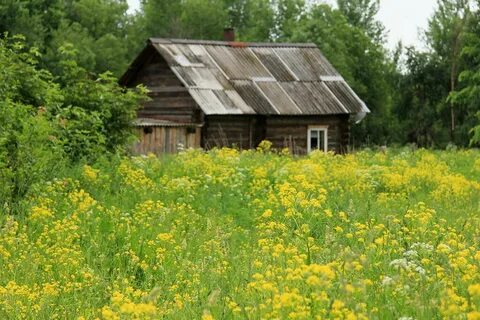 Снится мне деревня