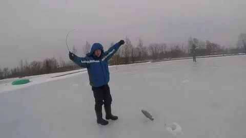 Ропша рыбные