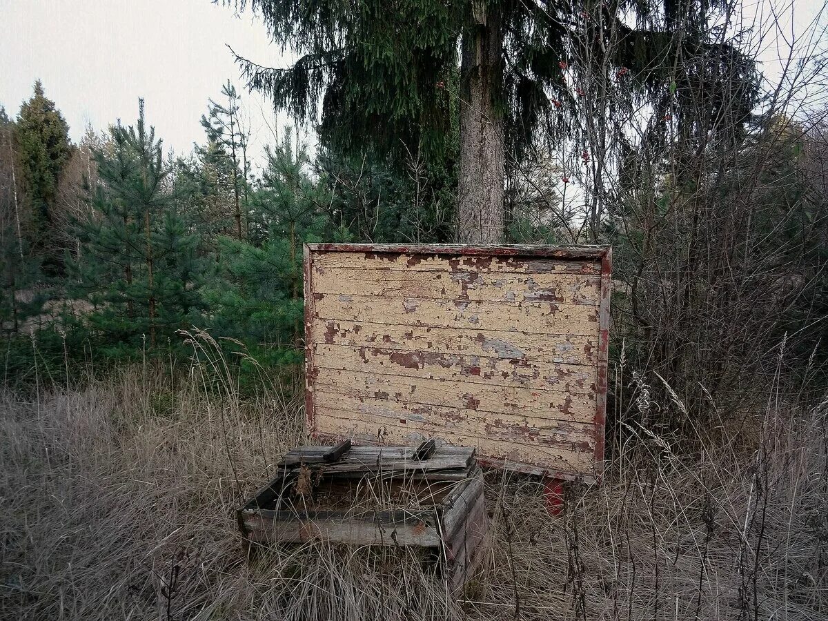 Camp 13. Пионерский лагерь Кристалл Домодедовский район. Заброшенный лагерь Кристалл. Пионерлагерь Кристалл Ыллымах. Пионерский лагерь Кристалл Саратов.