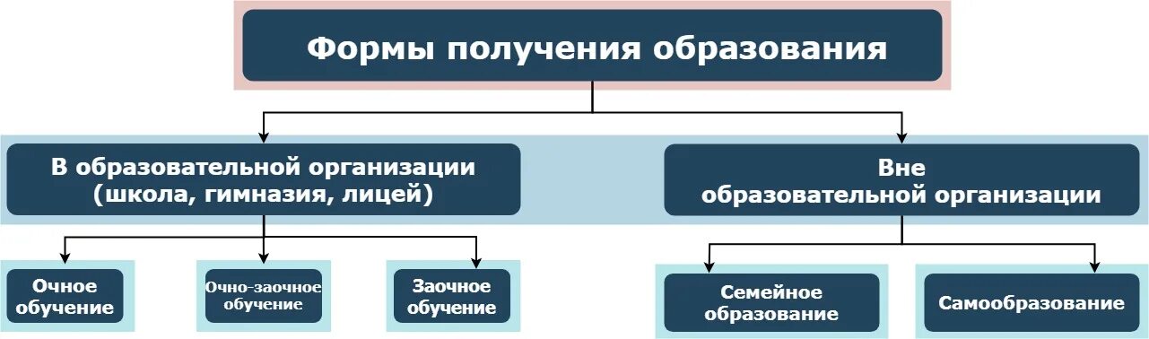 В образовательном учреждении в форме очной. Формы обучения в школе очная заочная. Виды обучения в школе. Формы образования в школе. Виды очного обучения.