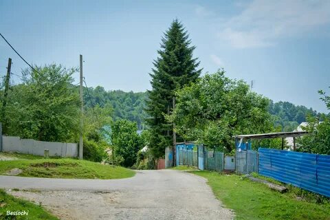 Орел изумруд индекс
