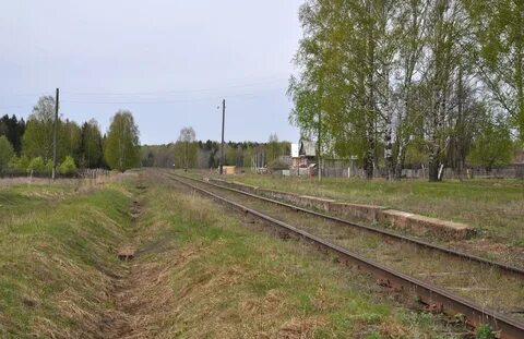 Покажи п покажи ж