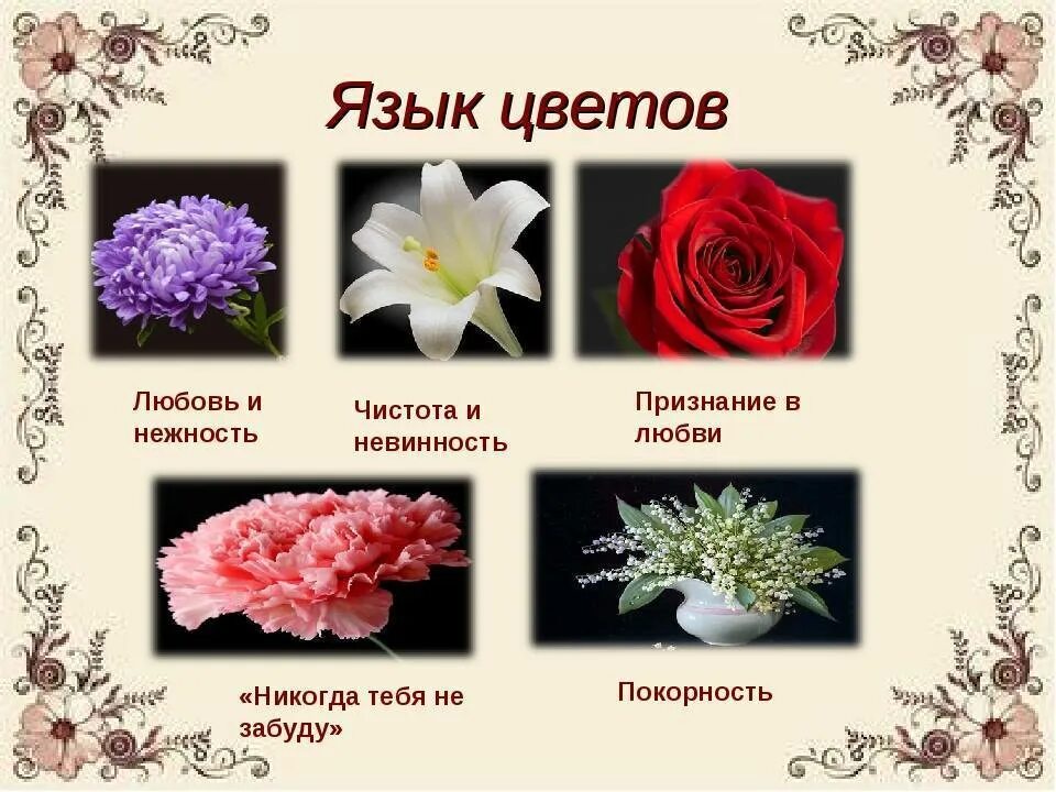Цветы значение. Язык цветов. цветы на языке цветов. язык цветов любовь. символика растений и цветов.