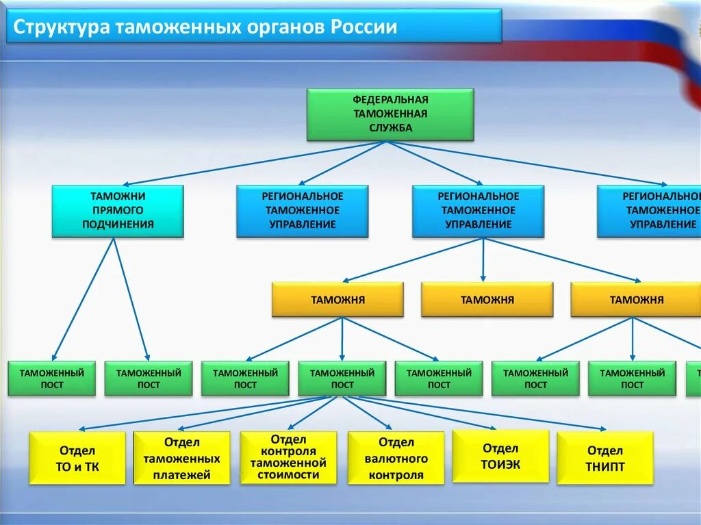 Система ФТС РФ структура. Структура таможенных органов Российской Федерации схема. ФТС структура таможенных органов. Структура органов ФТС.