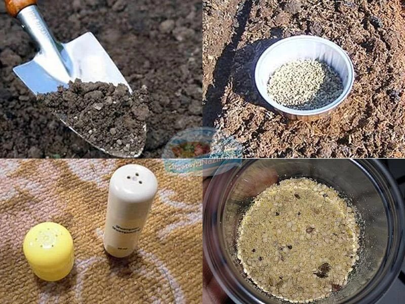 Посадка моркови в киселе пропорции. Удобрение почвы. Посев семян в открытый грунт. Посев семян моркови. Сажаем редиску в открытый грунт.