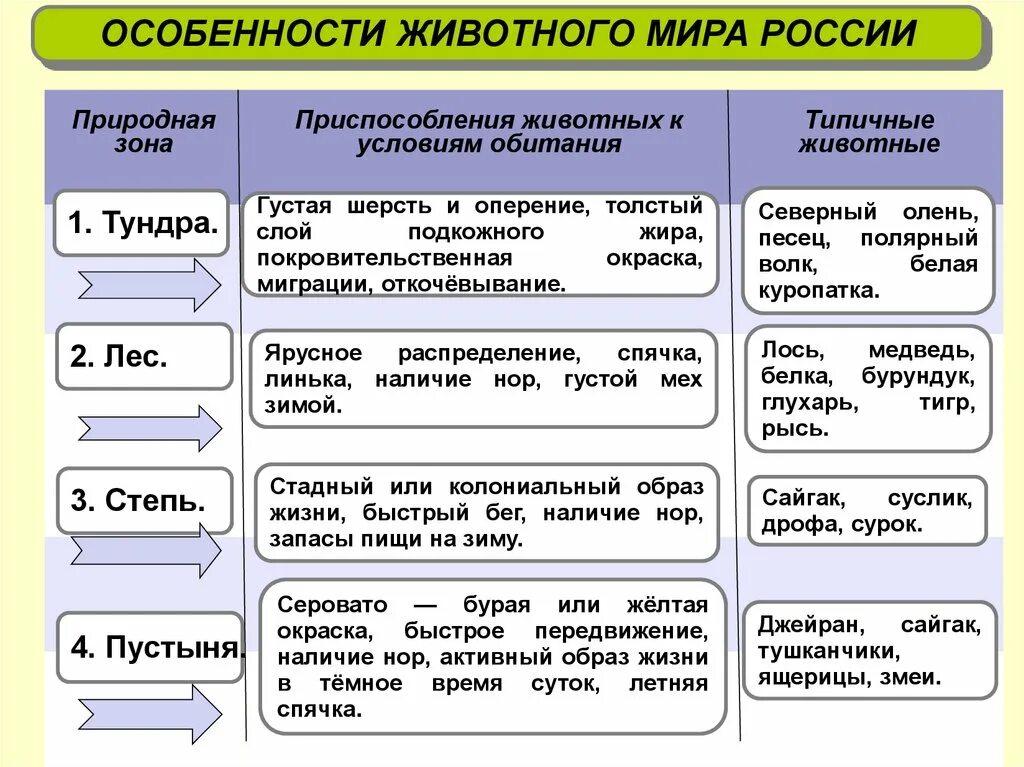 Растительный и животный мир география 8 таблица