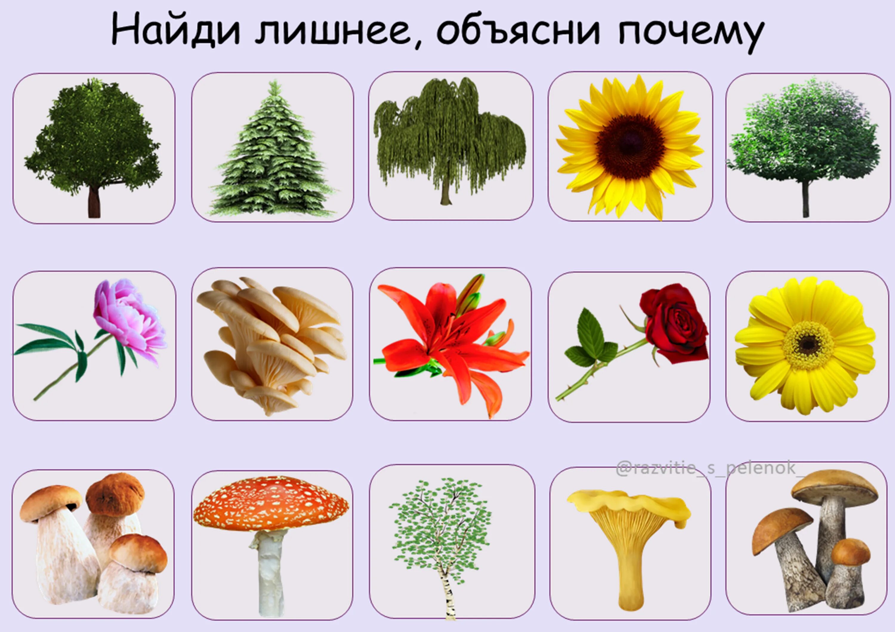 Задание на классификацию чисел. Какое число лишнее 2 класс. Задание найди лишнее число. Лишнее число объясни почему оно лишнее. Найти лишнюю цифру.