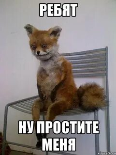Ребята извиняться