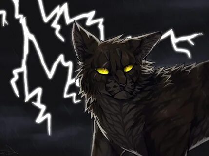 Коты воители главный кот
