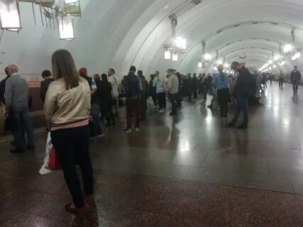 Оранжевая ветка спб