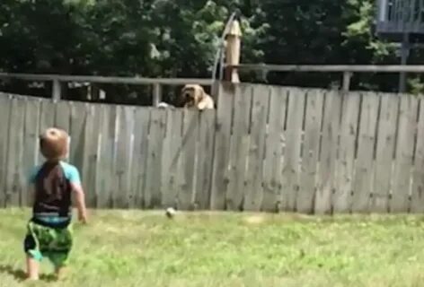 Смешное видео мальчик