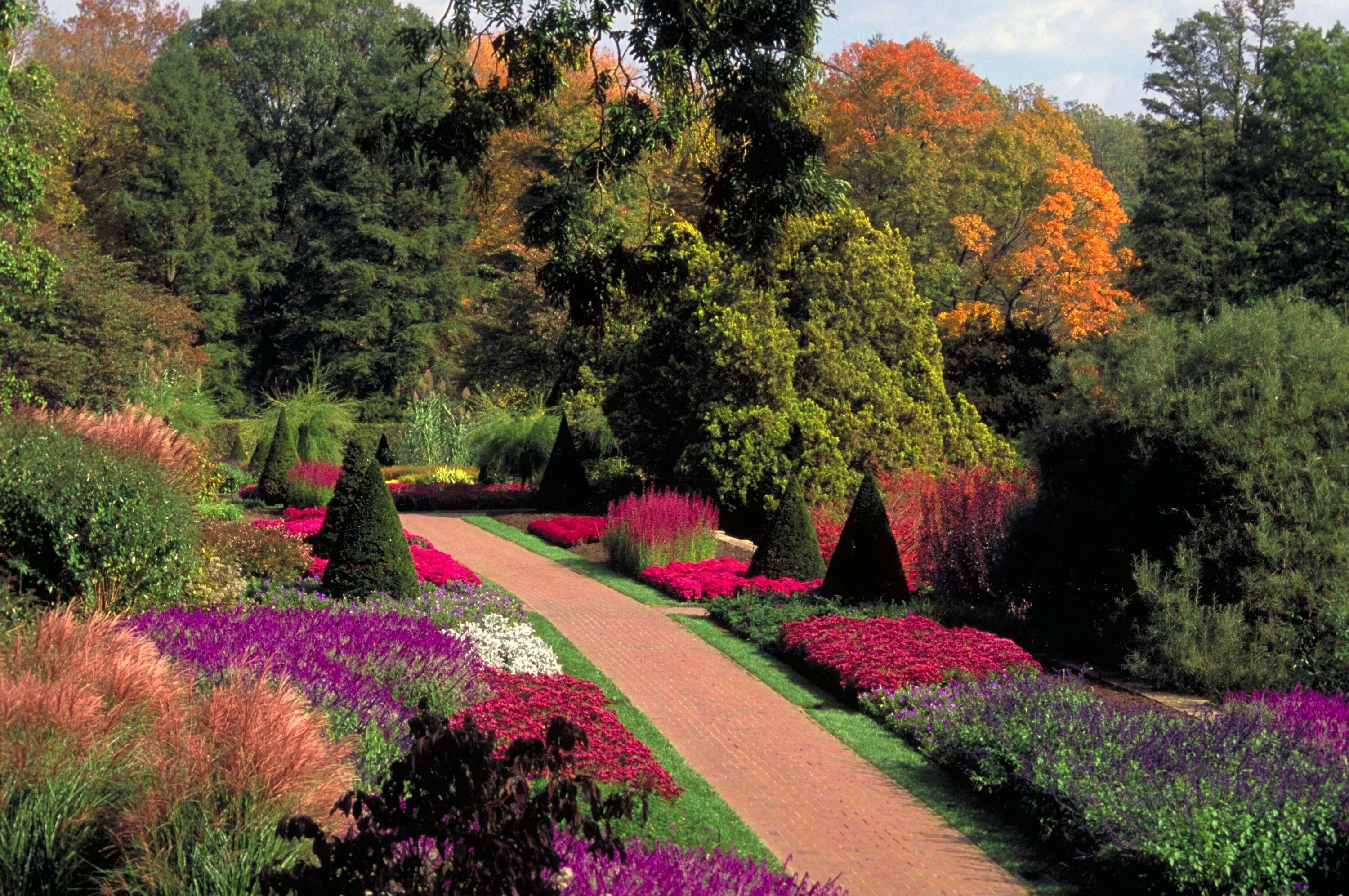 Сады Пьера Дюпона. Longwood Gardens. Pennsylvania. Сады Дюпона осенью. Красивый сад.