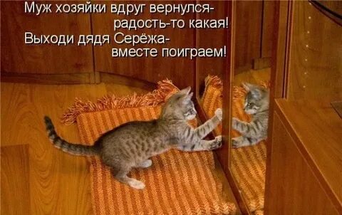 Радость то какая