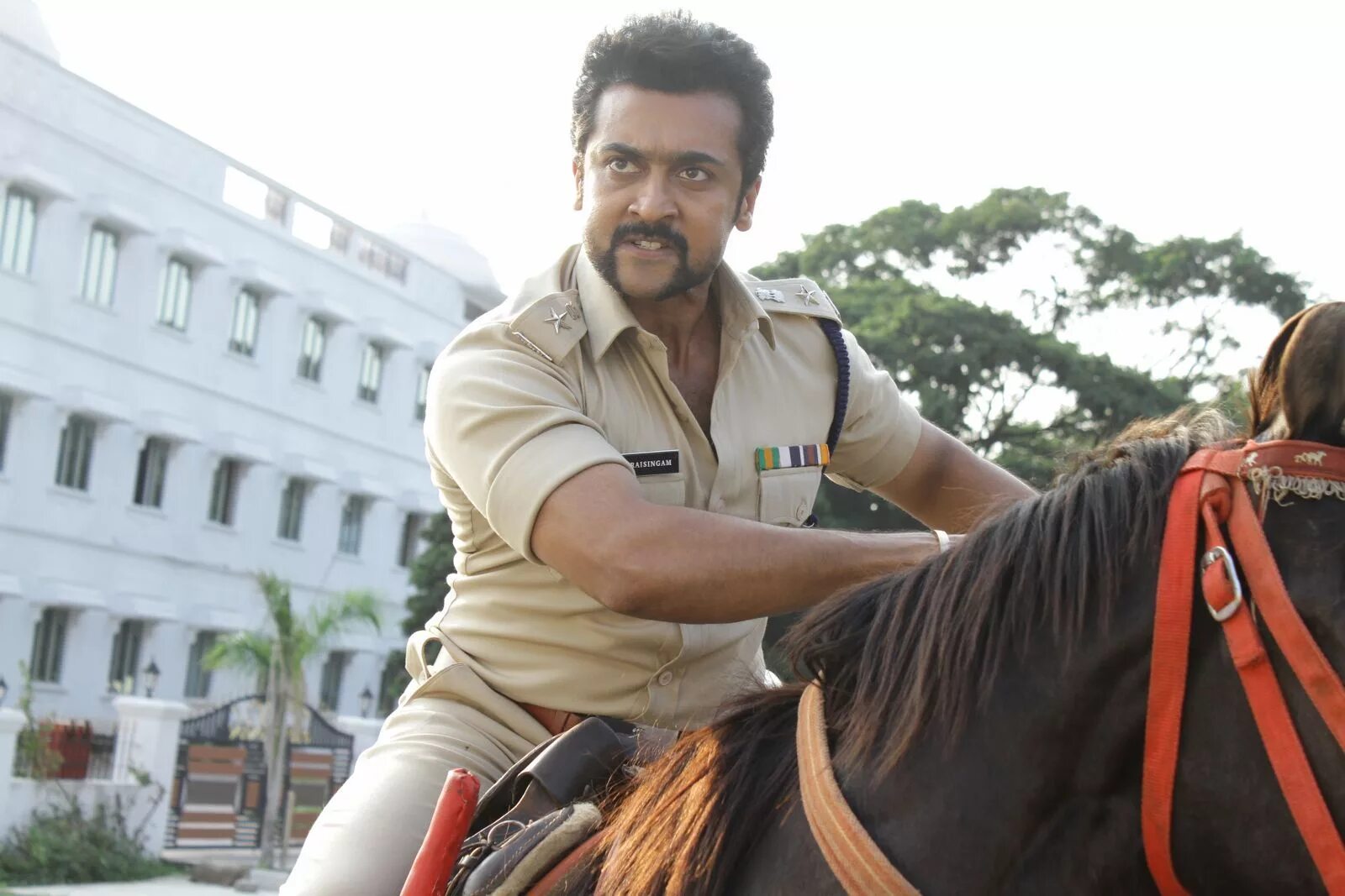 Сингам узбек тилида. Сурья шивакумар сингам. сингам / лев (singham) 2011.