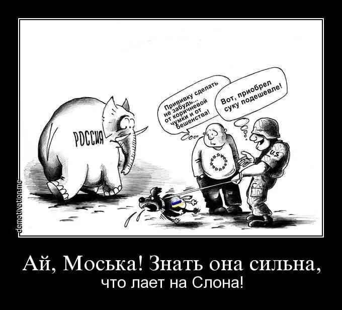 Моська знать она сильна. Моська лает на слона. Слон и моська карикатура. Карикатура Украина лает на Россию. «Ай, …! Знать, она сильна, // что лает на слона!».
