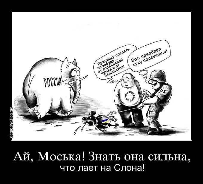 Ах моська знать она сильна коль лает на слона басня. Моська знать она сильна коль. Слон и моська значение. Моська знать она сильна коль. Ай знать она сильна что лает на слона.
