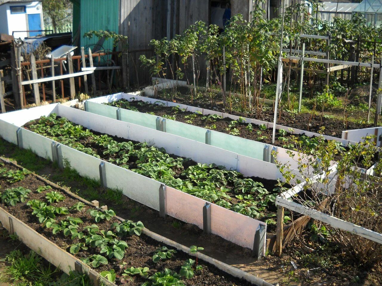 Грядки из подручных материалов фото. Грядки на даче из подручных материалов. Грядки из подручных материалов фото. Ограждение для грядок. Грядки из кирпича.