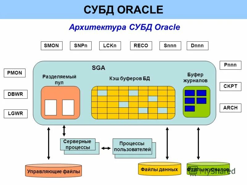 Субд sql oracle. Субд oracle. Субд оракл. Субд oracle database. Субд oracle.