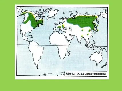 Зона ареал