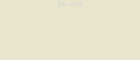 Ral1013