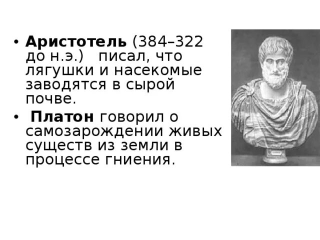 Гипотеза аристотеля. Самозарождение Аристотель. Аристотель теория самозарождения жизни. Сторонники самозарождения. Теория самозарождения жизни.