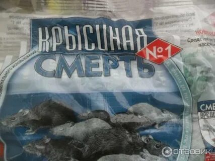 Собака съела крысиный яд