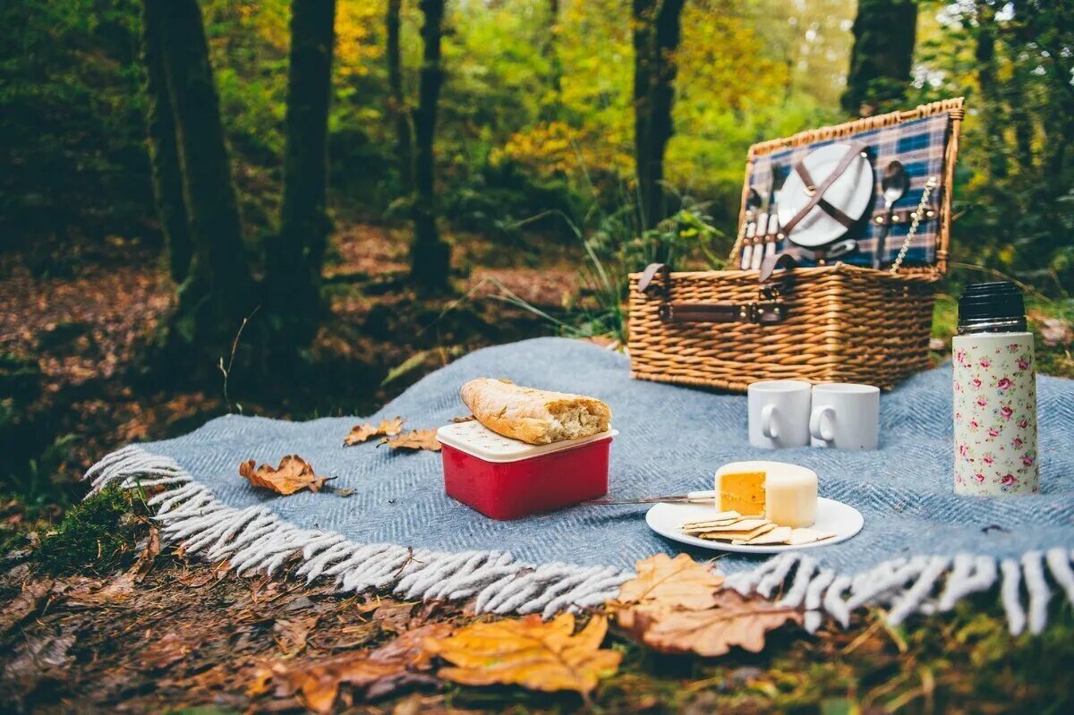 Пикник колдобины. Пикник на природе. Пикник в лесу. Стол на природе. Пикник на природе осень.