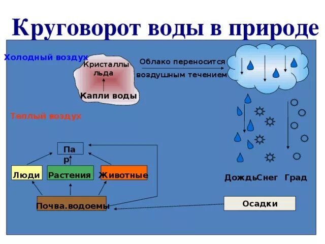 Теплее или холоднее воздуха кажется. Задание 3 круговорот воды в природе Информатика. Круговорот воды в природе химия 8 класс. Круговорот воды в природе схема. Этапы круговорота воды в природе.